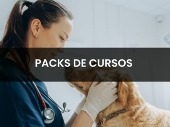 Especialízate con el pack de cursos de veterinaria y da el siguiente paso en tu trayectoria
