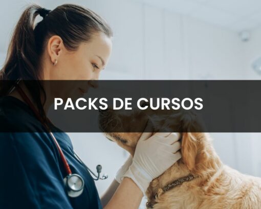 Especialízate con el pack de cursos de veterinaria y da el siguiente paso en tu trayectoria