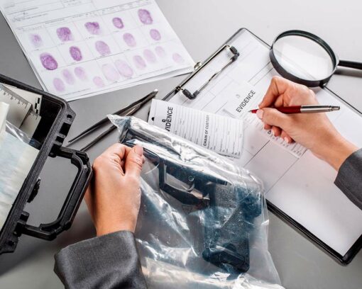 estudiar experto en criminología