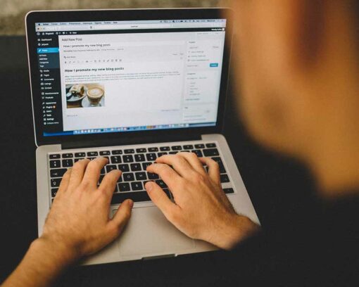 Descubre el Máster en Wordpress + Máster en Blog